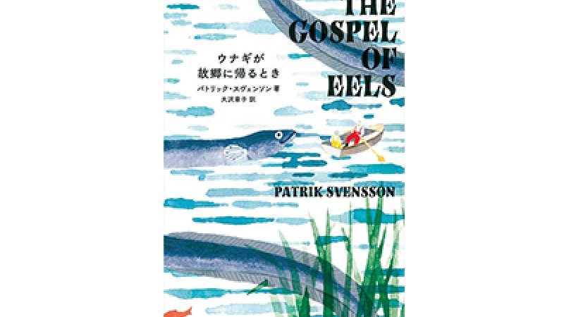 産卵中の姿を見た者がいない 謎めくウナギを解き明かす ウナギが故郷に帰るとき Pen Online