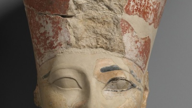 ファラオの時代のミツバチのミイラがポルトガルで発見される