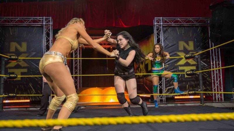 プロレス一家の娘がレスラーに育つまで ファイティング ファミリー が反則級に面白い Pen Online