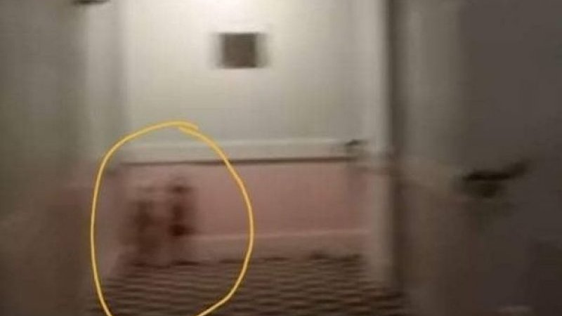 閲覧注意 リアル シャイニング ホテルの廊下に 双子姉妹の 幽霊 が出現 動画あり Pen Online
