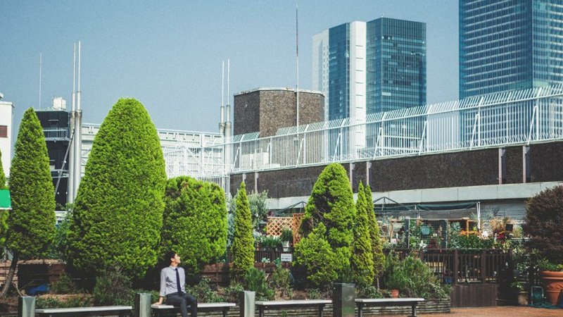 大人になりきれない男たちが愛した、かつての東急百貨店屋上。【速水健朗の文化的東京案内。渋谷篇④】｜Pen Online