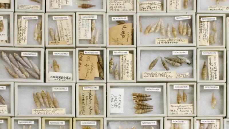 kaijinretsuden_EkgYJQI_news_to