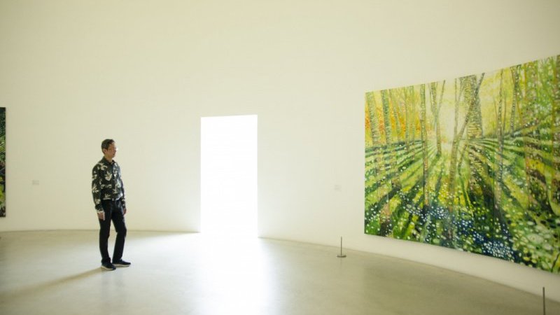 金沢21世紀美術館 大岩オスカール 光をめざす旅 展で あふれる色彩や光に包まれる Pen Online