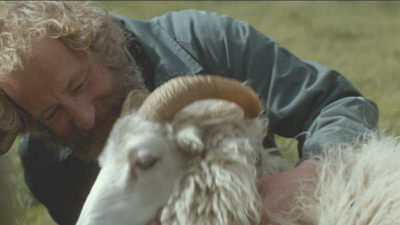 週末のシネマ案内：美しく厳しいアイスランドの自然が物語に深みを