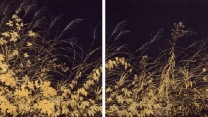 日本画壇に旋風を起こした迫力を体感して！ 「没後50年記念 川端龍子