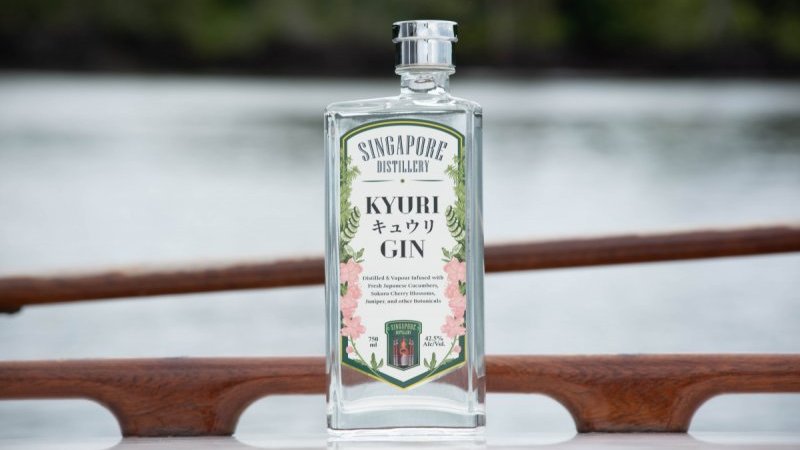 瓶オープナー(シンガポール) 61gB6hgipFL._AC_UF894,