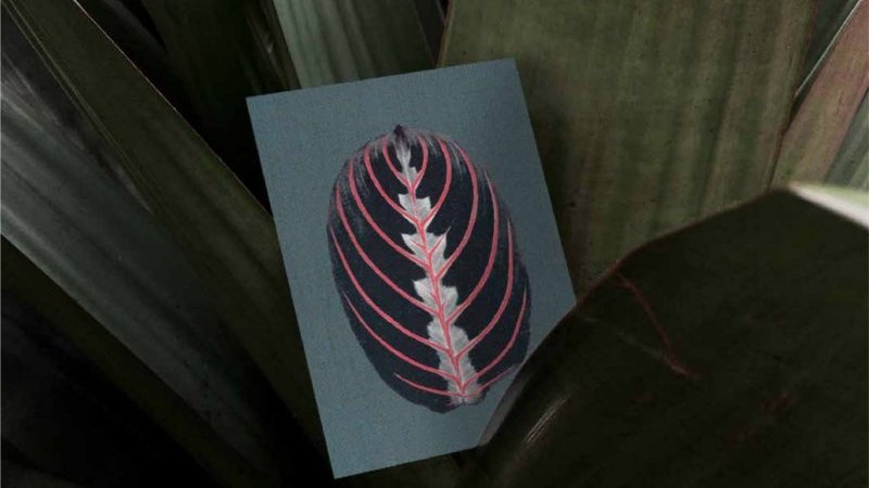 自然の神秘をデザイン視点で見せる「Design from Nature」が8月20日