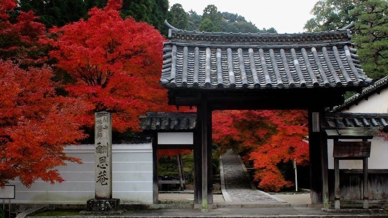 大徳寺真珠庵（通常非公開）の最古の襖絵を京都国立博物館の学芸