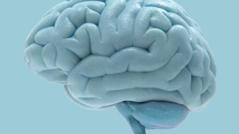 お金が貯まらないのは脳が原因 心理的にお金を貯まりやすくする方法3選 Pen Online