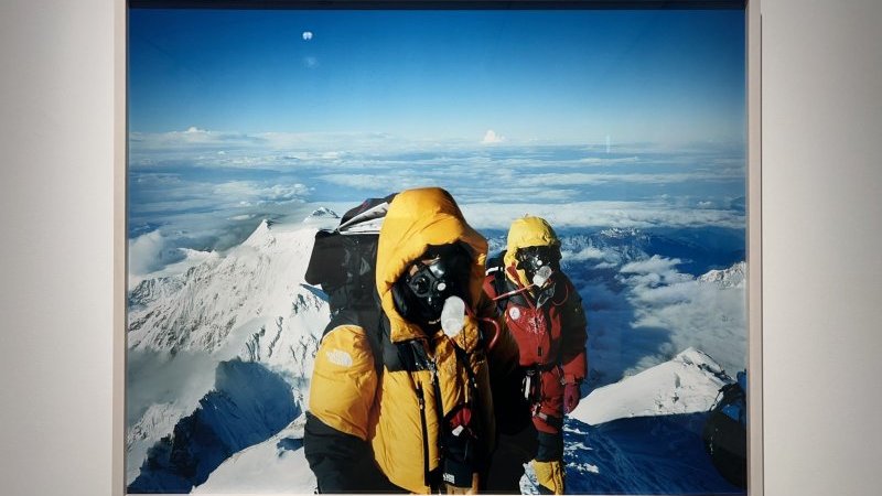 29c6500fa83ed6b98aeca3602d36d0