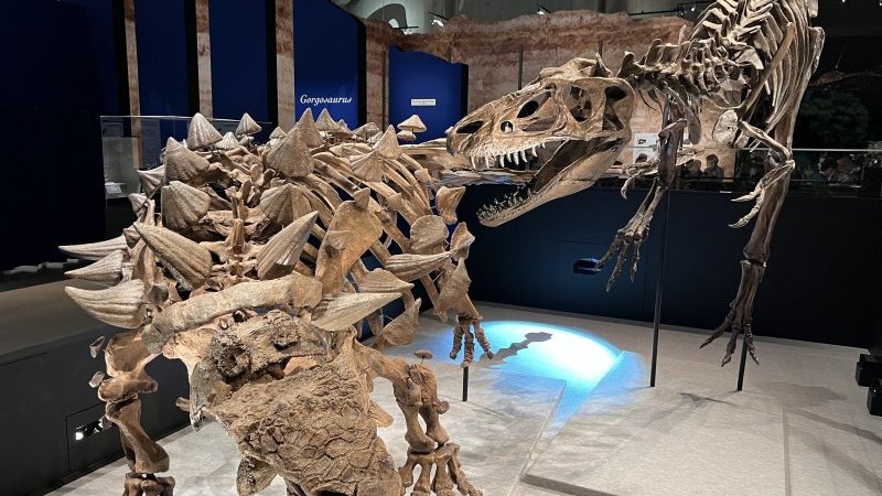 恐竜たちの戦いと絶滅の真相とは？見どころ満載の『特別展「恐竜博