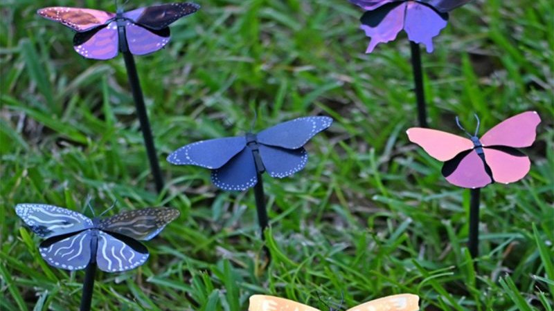 蝶の羽から着想…世界最軽量の塗料が開発される「わずか1.4kgで