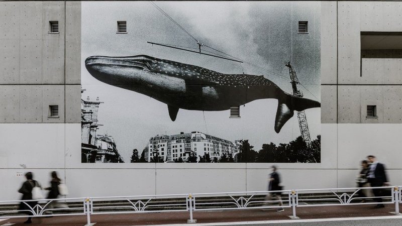 (c)shibuya_arrow_project_01-