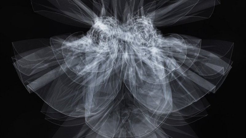 本物のルック展示からショー映像の没入体験まで、メゾン マルジェラの