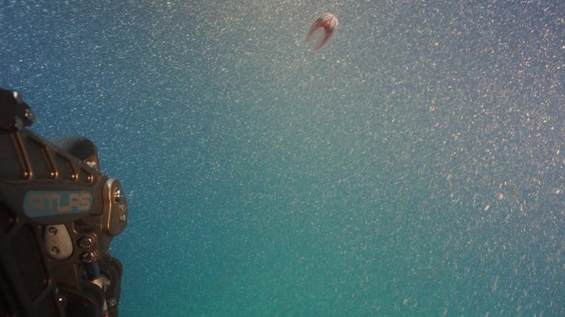 人類最後のフロンティア「深海」へ。日本の海洋研究の最高峰