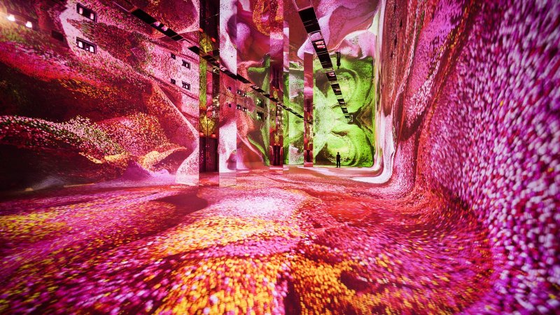 画像が削除されました