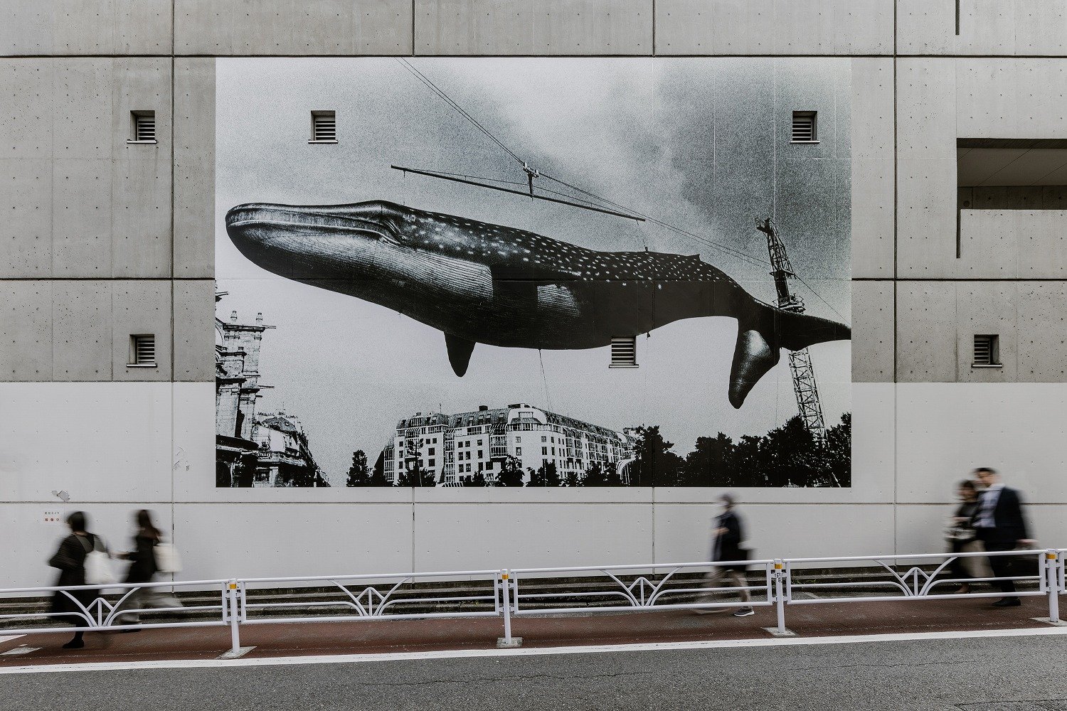 鯨 渋谷に幅9メートルの巨大クジラが出現！ 一時退避場所を知らせる新たな