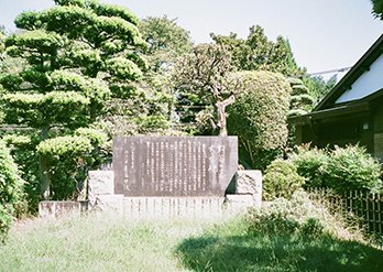 アナろぐ10_5.jpg