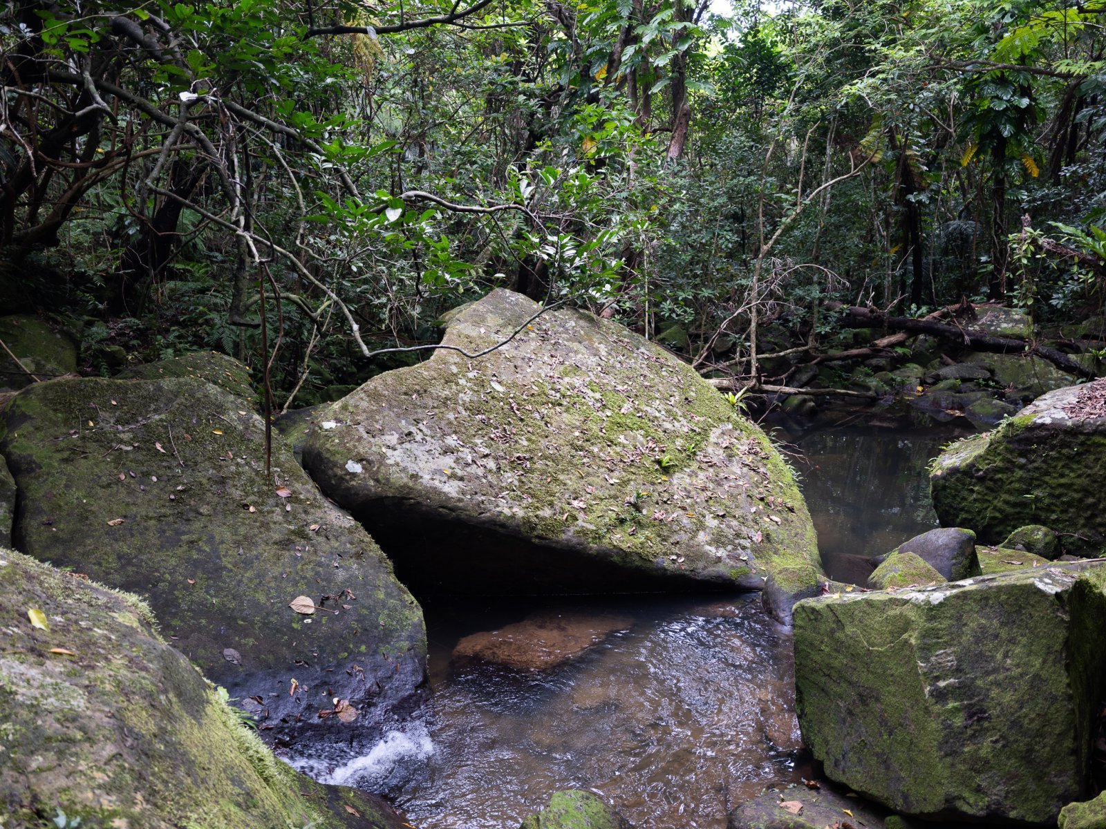 DSCF0334.jpg