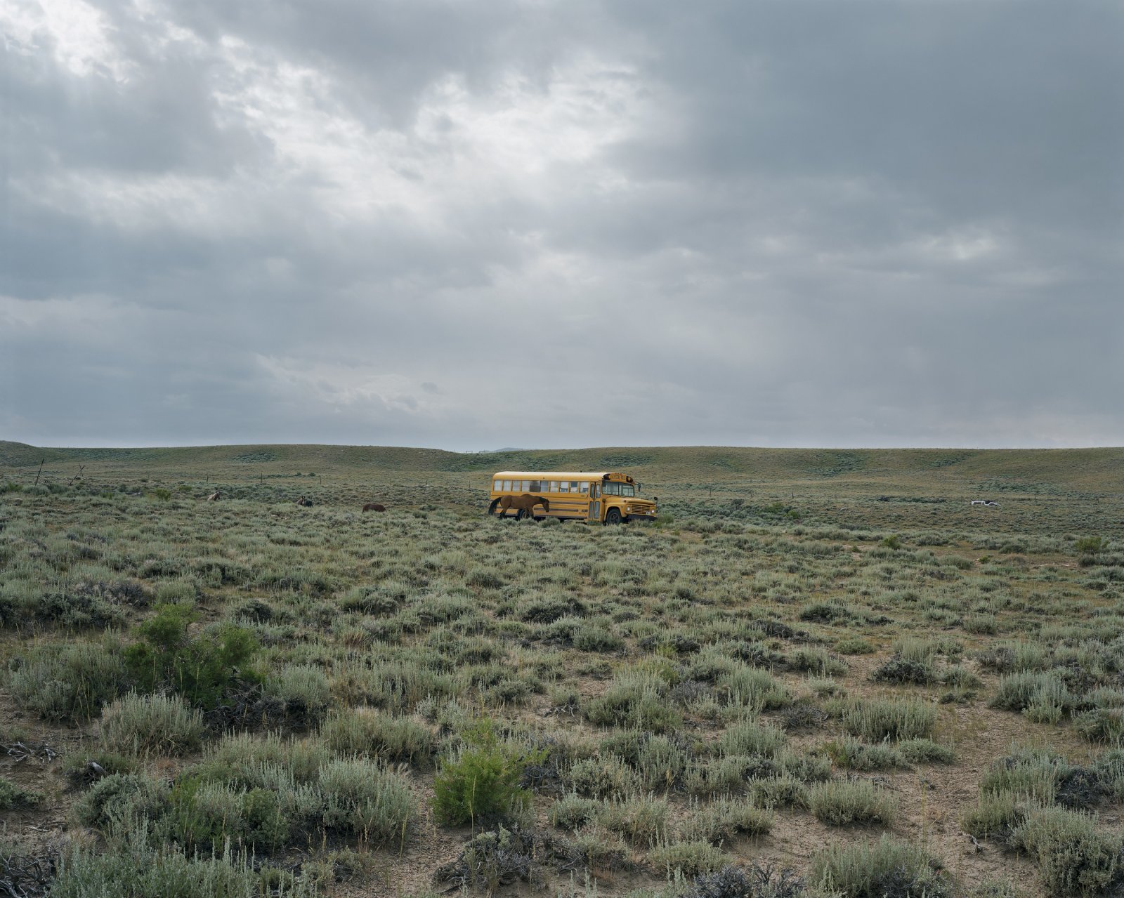 05_F 《2008_08zl0047》〈Broken Manual〉より 2008年 ©Alec Soth, courtesy LOOCK Galerie, Berlin.jpg