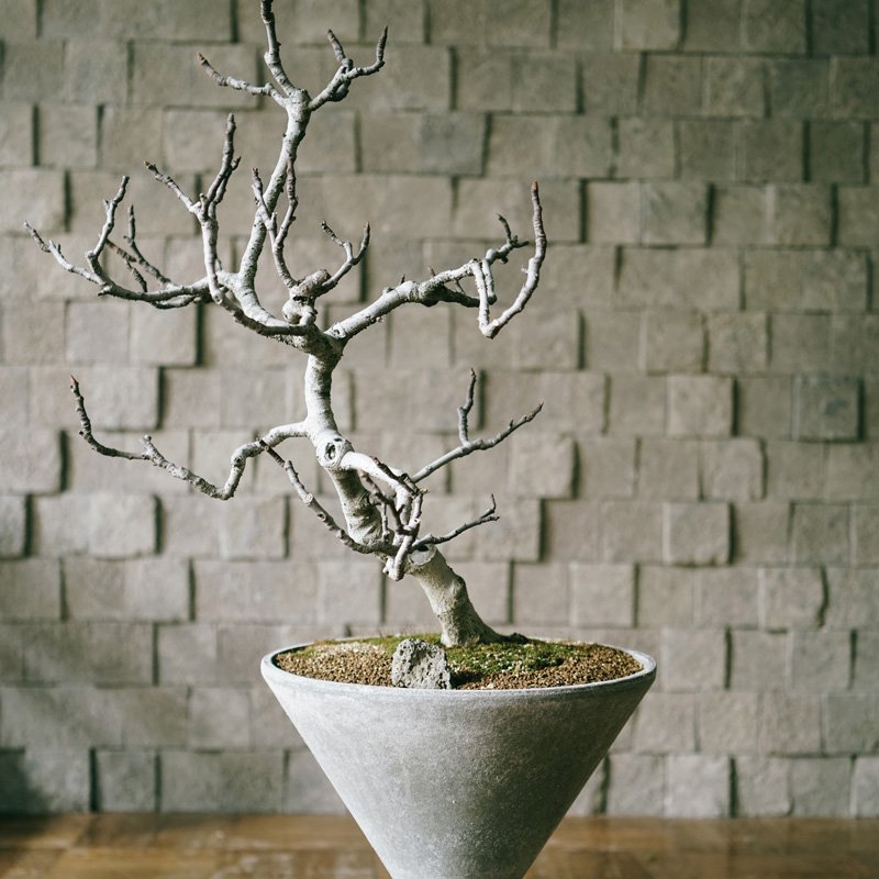 10_000000001417.jpg