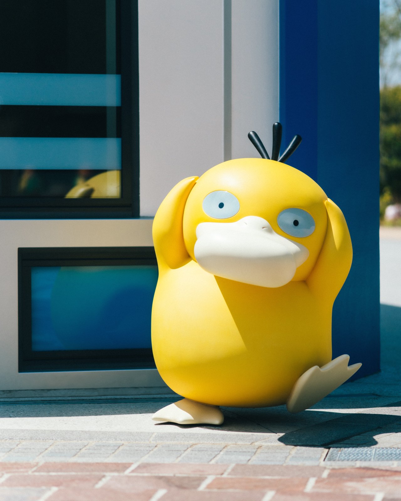 コダック