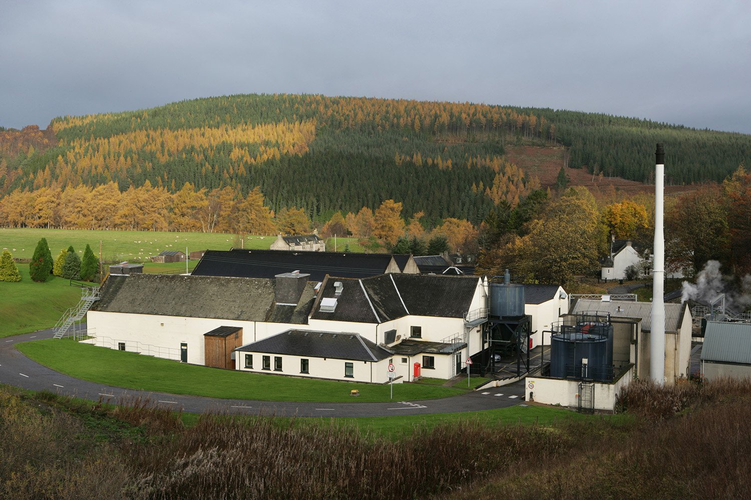 124298_cragganmore42.jpg