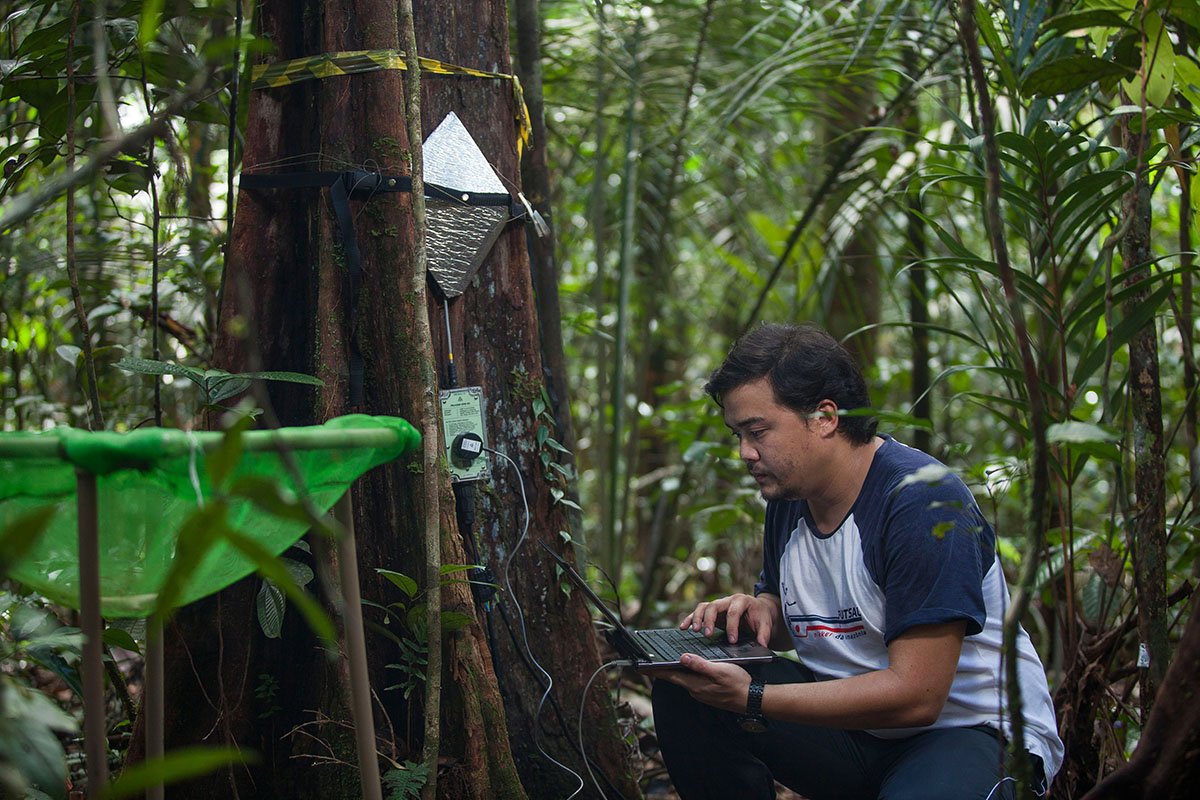 Dr. Bruno Takeshi - Coleta e Análise Preliminar de dados de sensor de fluxo de seiva- Foto João Marcos Rosa_AmazonFace (2).jpg