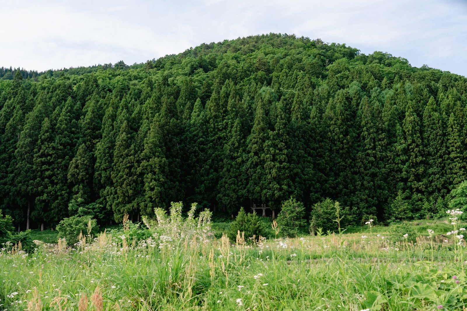 LIFE FARMING CAMP_迴セ蜒・DSC00639 (1).jpg