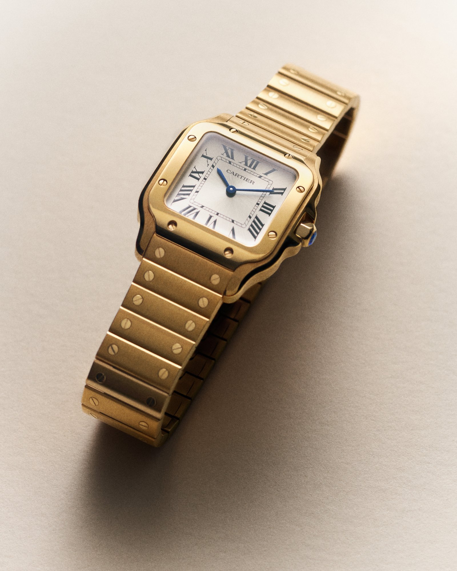 CARTIER_2025_SANTOS_EDITORIAL_SERIES_STILL_WOMEN_02_CRWGSA0107_PRESSE_24x30.jpg
