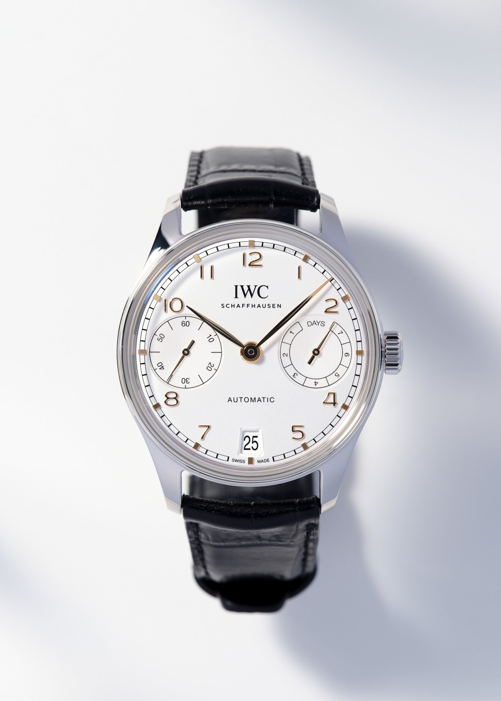 20240301_IWC_studio0116trim.jpg