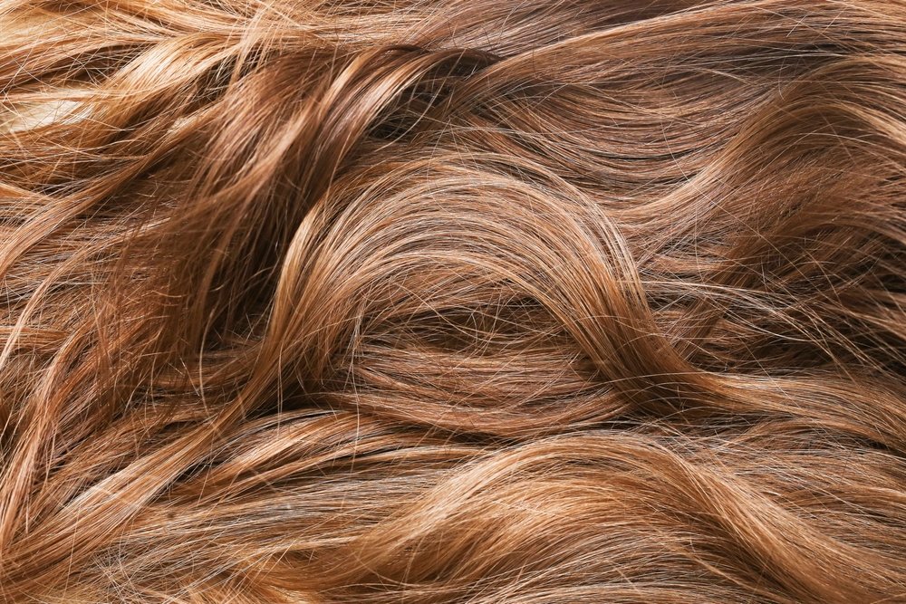 shutterstock_2566598731.jpg