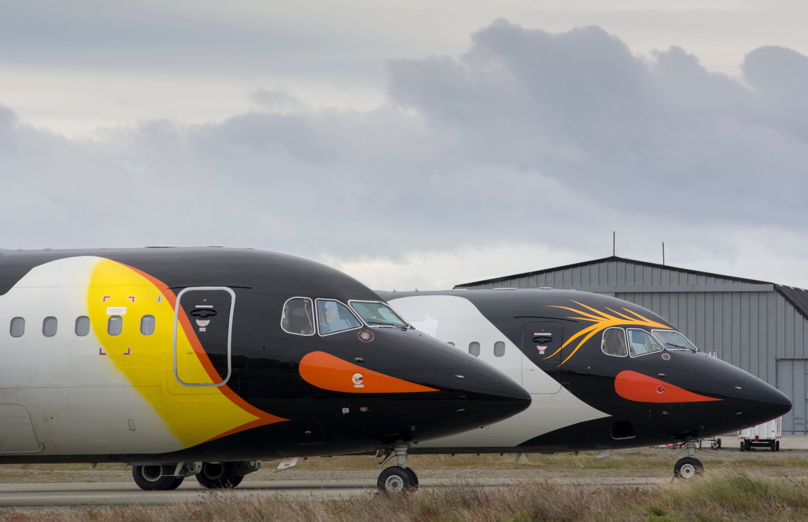 21)Antarctica21-Antarctic-aircraft-(9).jpg