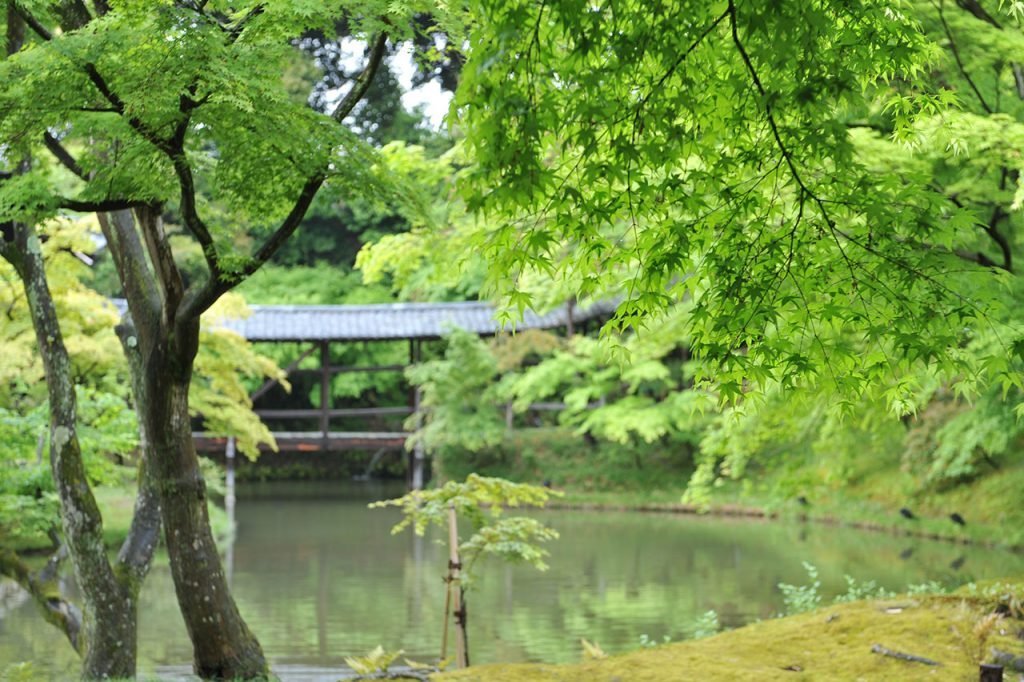 210916-kodaiji-1-1024x682.jpg