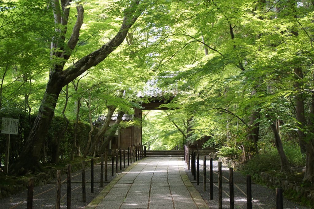 210917-komyoji-1-1024x681.jpg