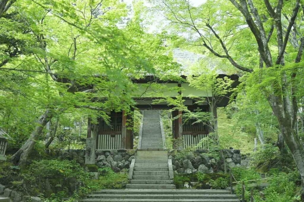 220414-jojakkoji-1024x681.jpg