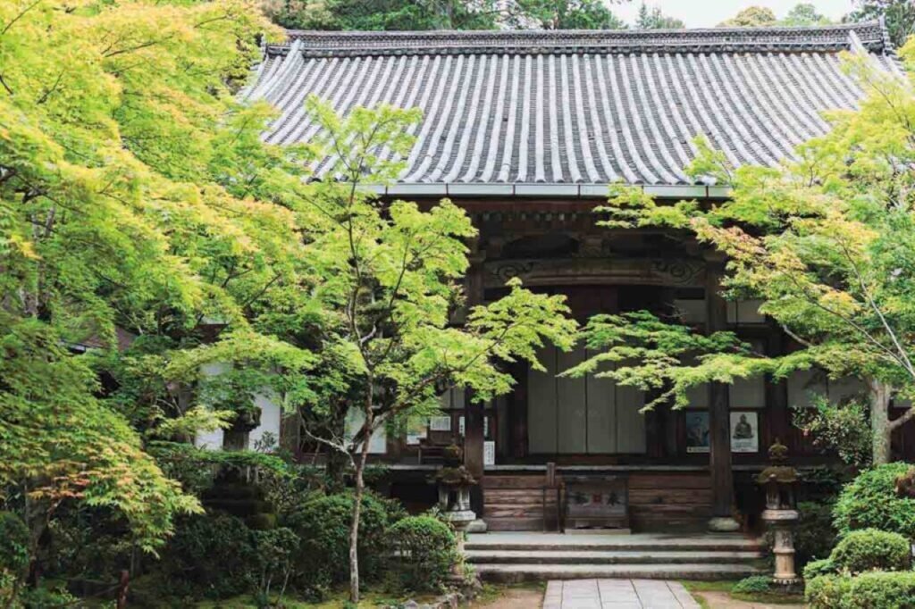 220418-saimyoji-1024x682.jpg