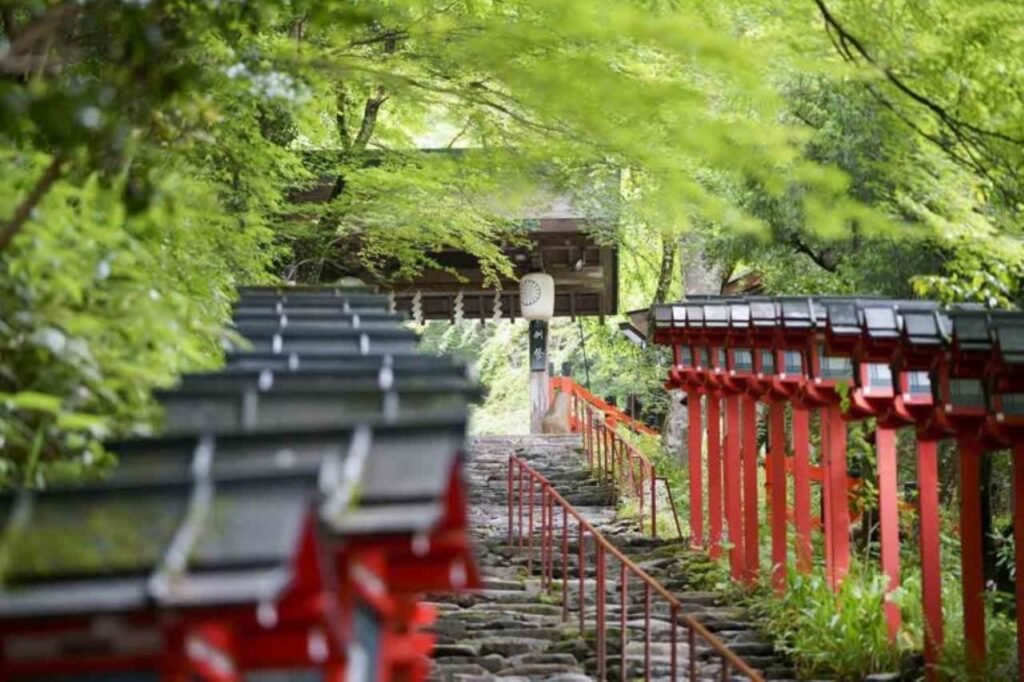 220419-kifunejinja-1024x682.jpg