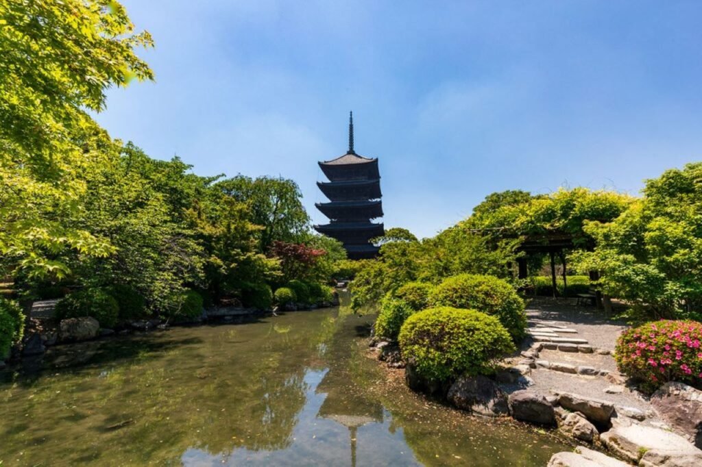 220419-toji-1024x682.jpg
