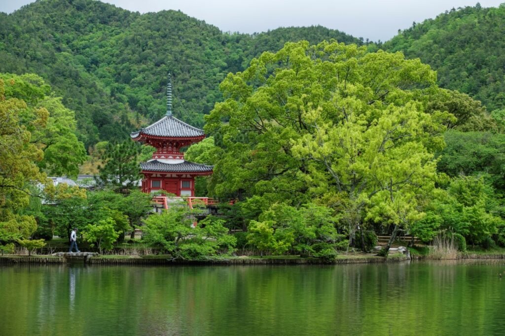 220422-daikakuji-1024x682.jpg