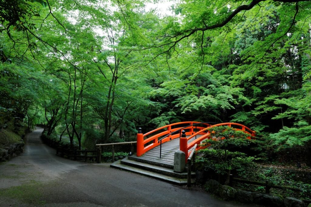 220424-kitanotenmangu-1024x682.jpg