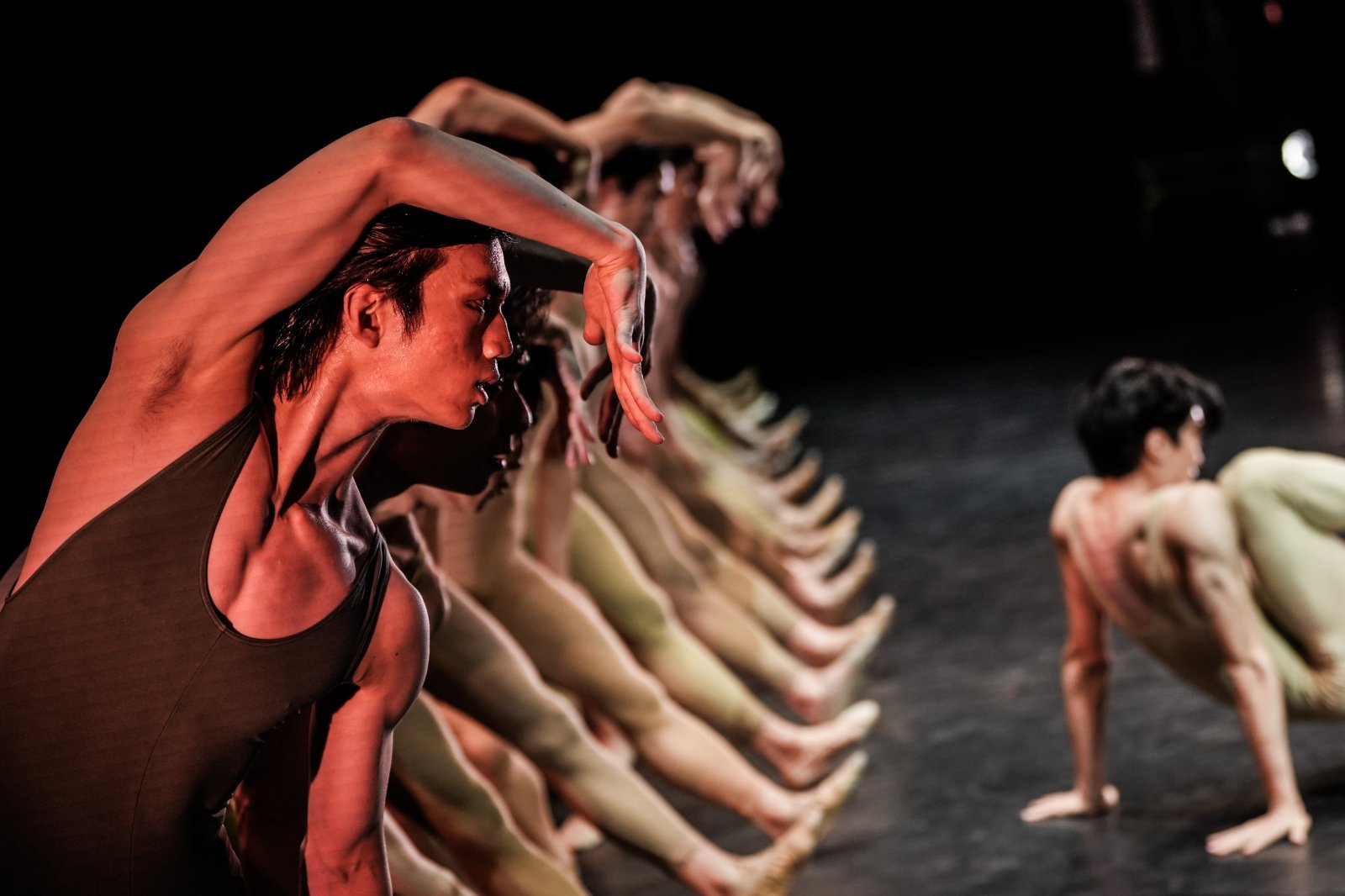 24-11_Italy_Le sacre du printemps_XXX04840_Bari (c) Clarissa Lapolla.jpg