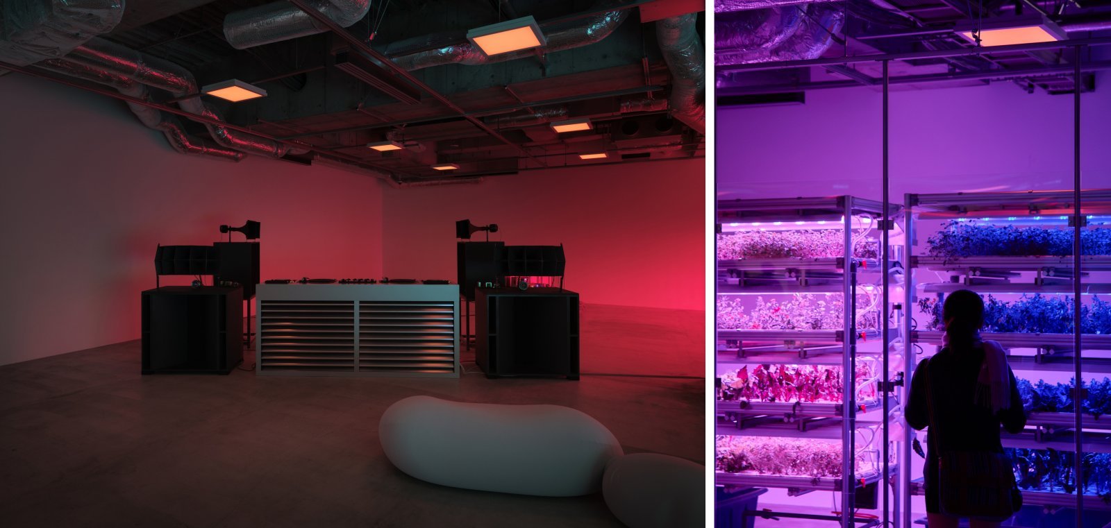 QUEST-20260312-0147 のコピー.jpg