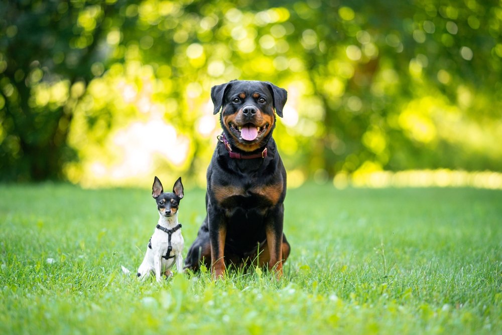 shutterstock_2484218401.jpg