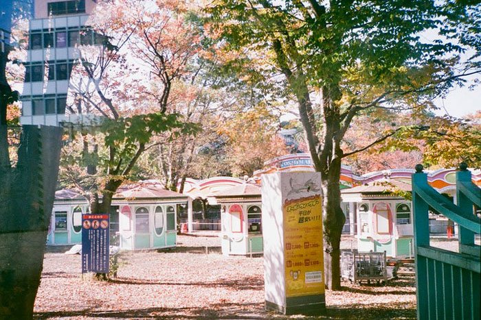 豊島園の横の道・豊島園の入り口.jpg