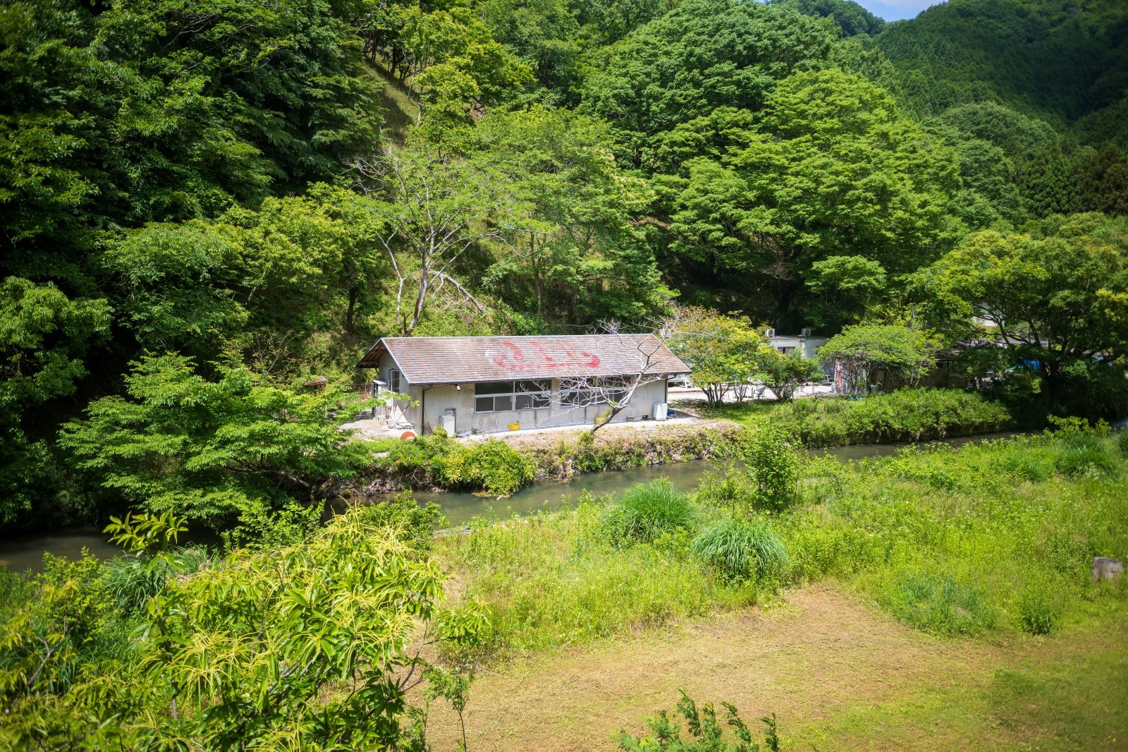 2_L1009645.jpg