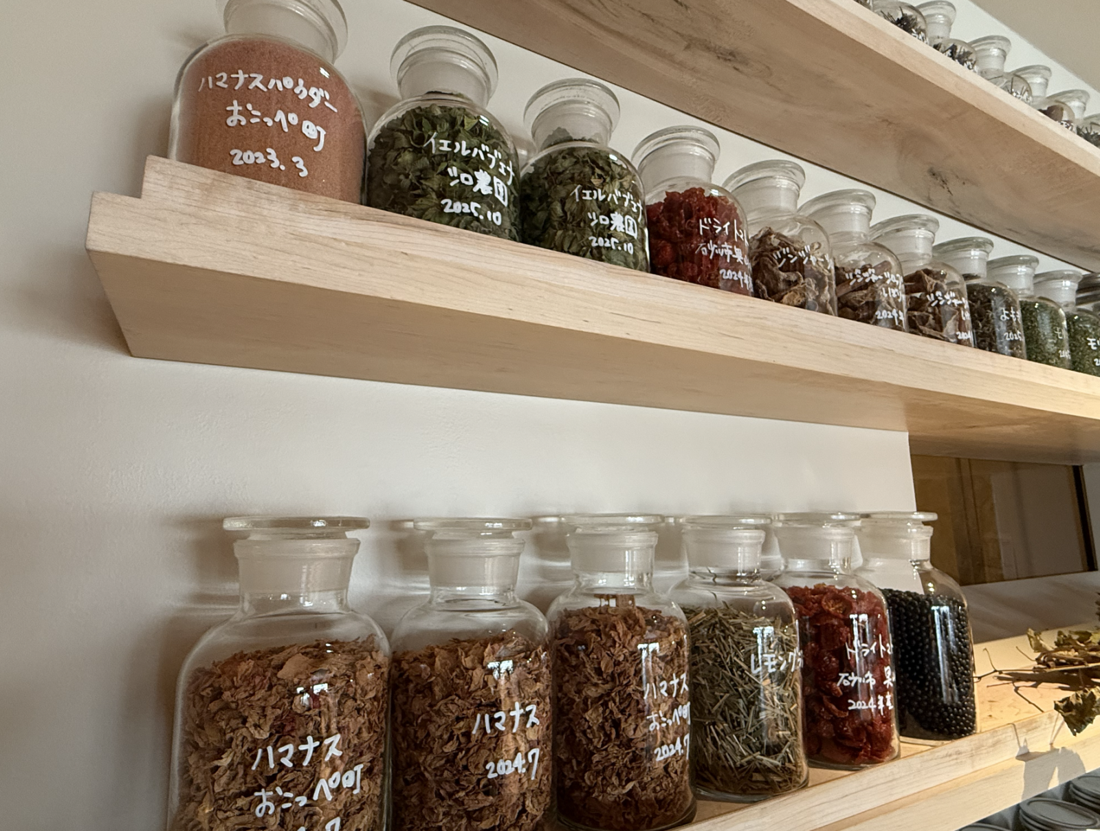 スクリーンショット 2025-12-19 18.01.56.png