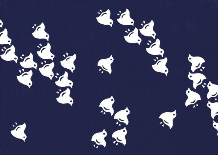31-20230628.jpg
