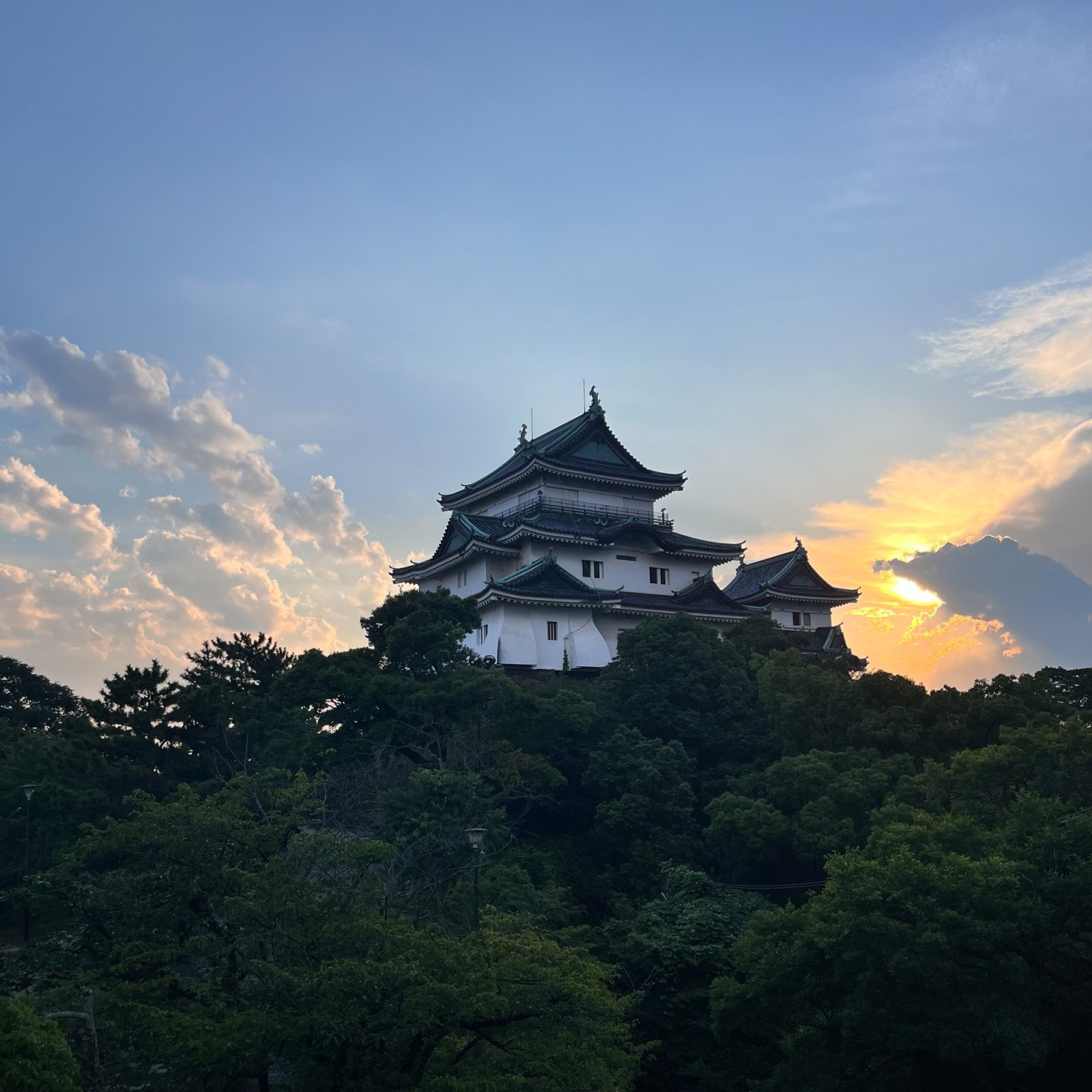 和歌山城.jpg