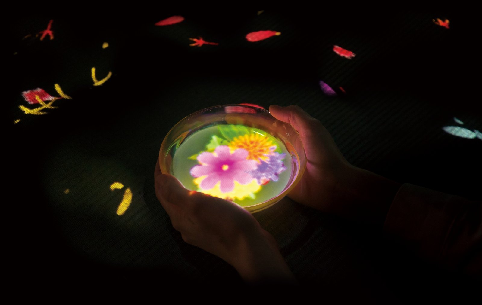 21_Main_Flowers Bloom in an Infinite Universe inside a Teacupのコピー.jpg